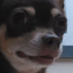 Meet your Posher, Jordyn